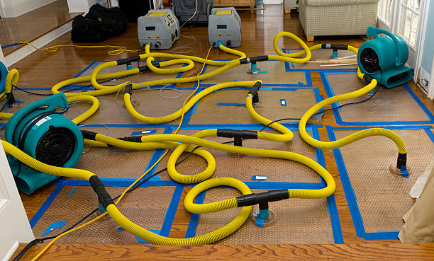 Professional Crawl Space Water Removal technician working in Hopkinton, RI